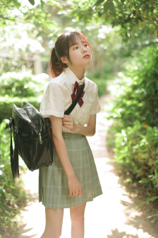 少女的心是什么书